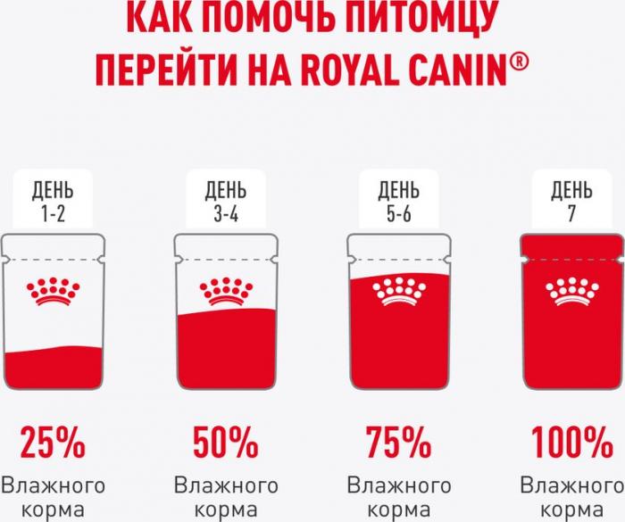Royal Canin влажный корм для стерилизованных котят, кусочки в желе