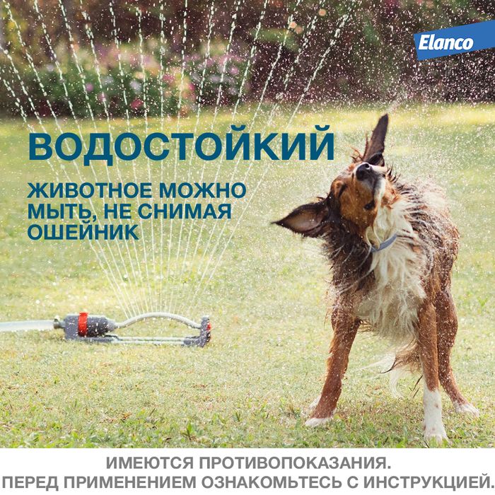 Elanco Форесто ошейник для щенков и собак более 8 кг, от клещей и блох
