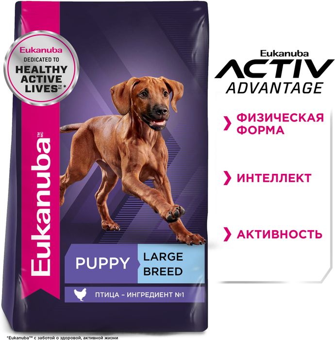 Eukanuba Puppy Large Breed сухой корм для щенков крупных пород с курицей