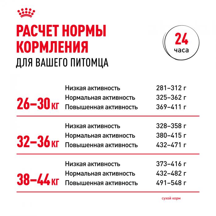 Royal Canin Maxi Adult сухой корм для собак крупных пород с 15 месяцев до 5 лет