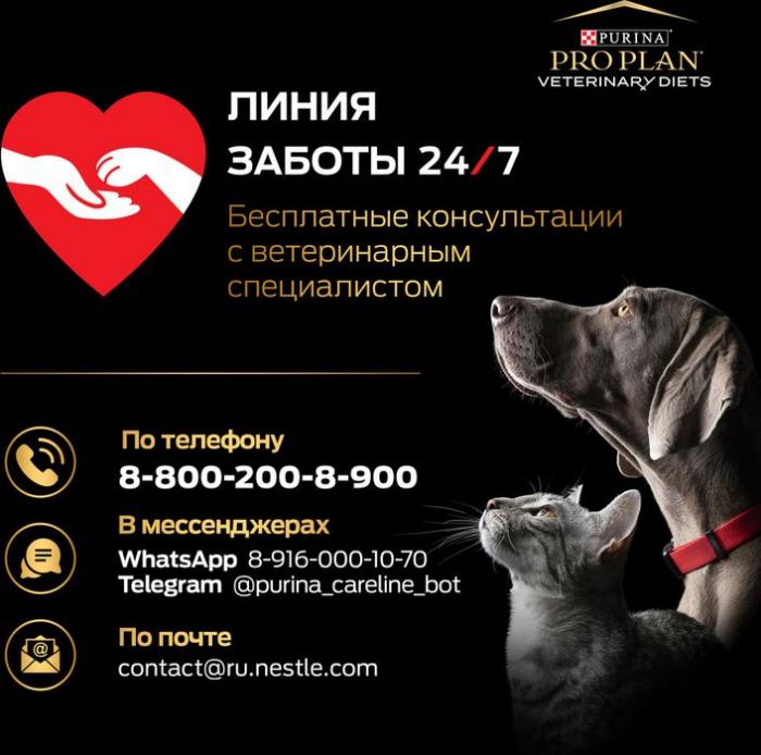 Влажный корм для котят и взрослых кошек диетический Pro Plan® Veterinary Diets EN ST/OX Gastrointestinal при расстройствах пищеварения, паштет, Банка