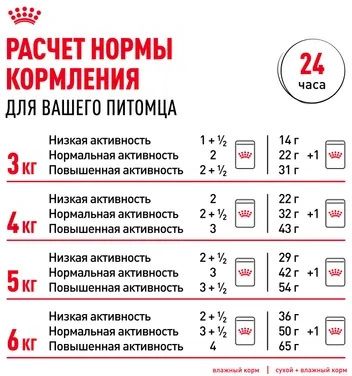 Royal Canin Ageing 12+ влажный корм для пожилых кошек всех пород, мелкие кусочки в соусе