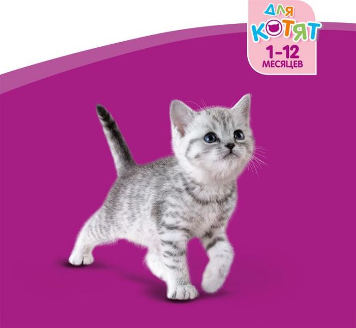 Whiskas влажный корм для котят желе с телятиной