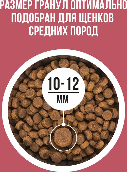 Bowl Wow корм для щенков средних пород, с индейкой, рисом и добавлением клюквы