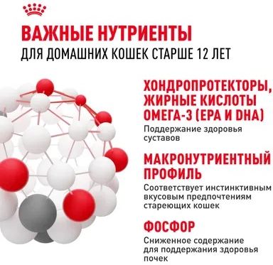 Royal Canin Ageing 12+ влажный корм для пожилых кошек всех пород, мелкие кусочки в соусе