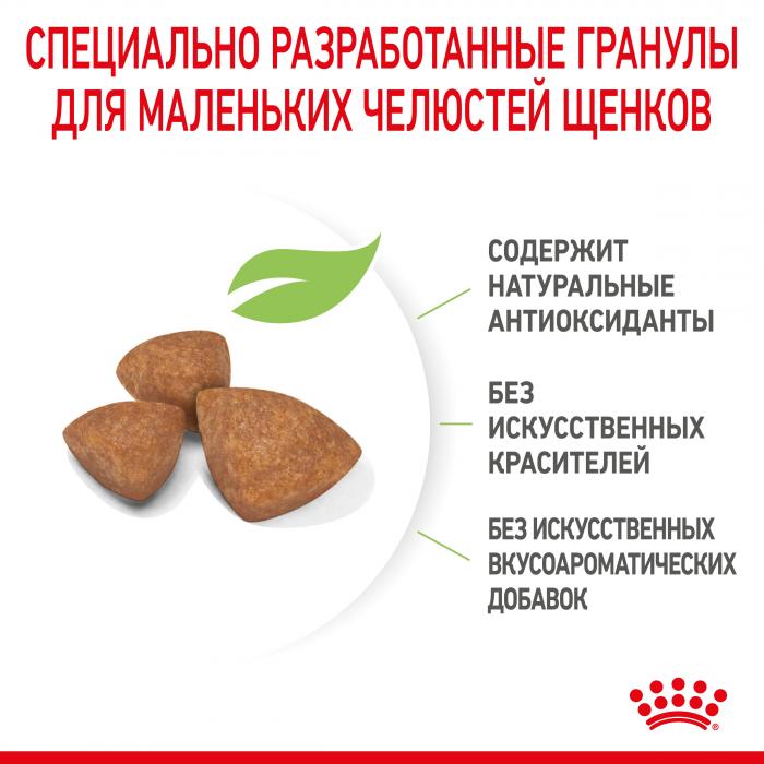 Royal Canin X-Small Puppy сухой корм для щенков миниатюрных пород
