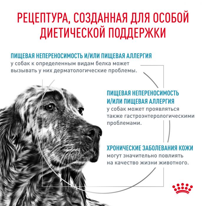 Royal Canin Hypoallergenic лечебный сухой корм для собак с пищевой аллергией или непереносимостью