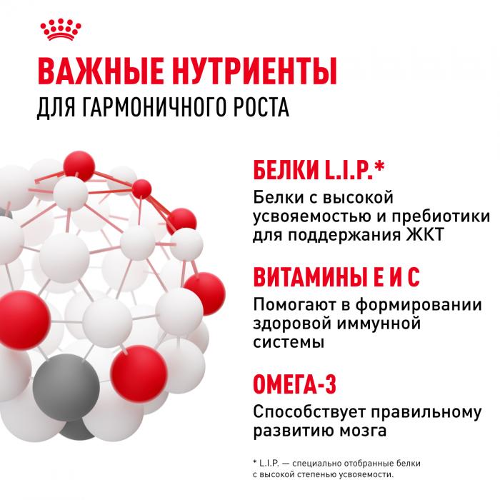 Royal Canin Mini Puppy влажный корм для щенков малых пород с 2 до 10 месяцев
