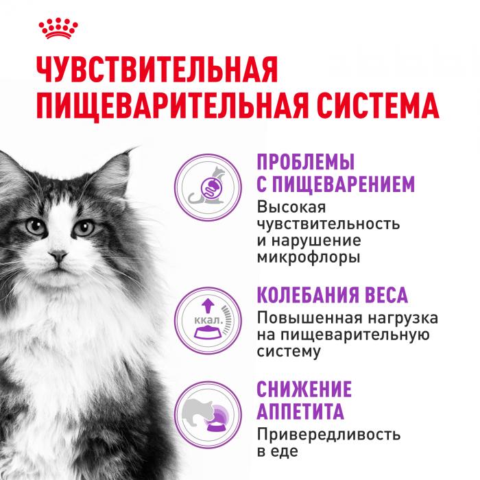 Royal Canin Sensible корм для привередливых кошек