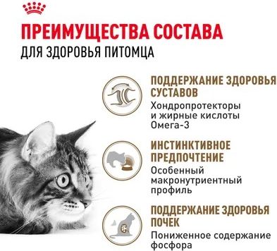 Royal Canin Ageing 12+ влажный корм для пожилых кошек всех пород, мелкие кусочки в соусе