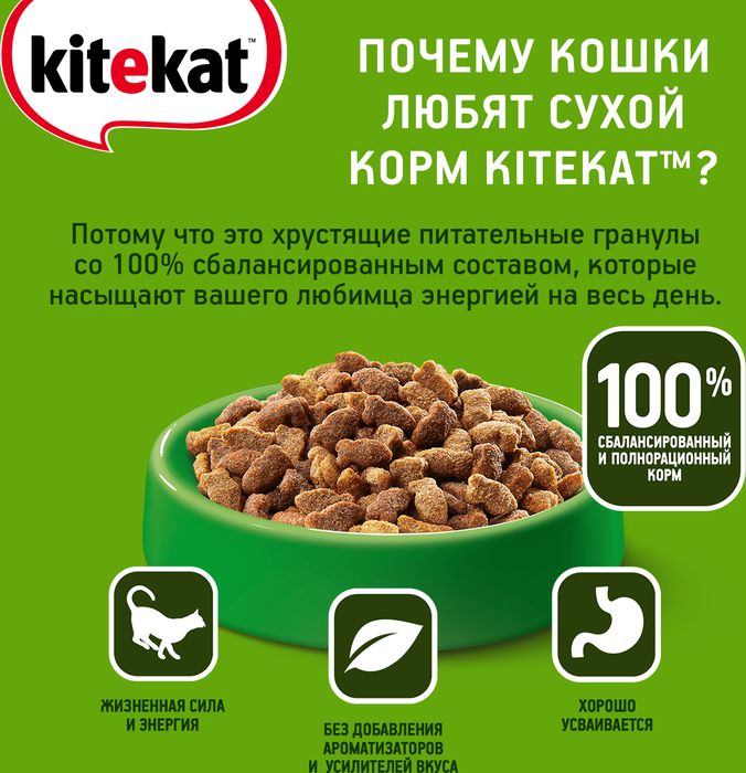 Kitekat корм для взрослых кошек, улов рыбака