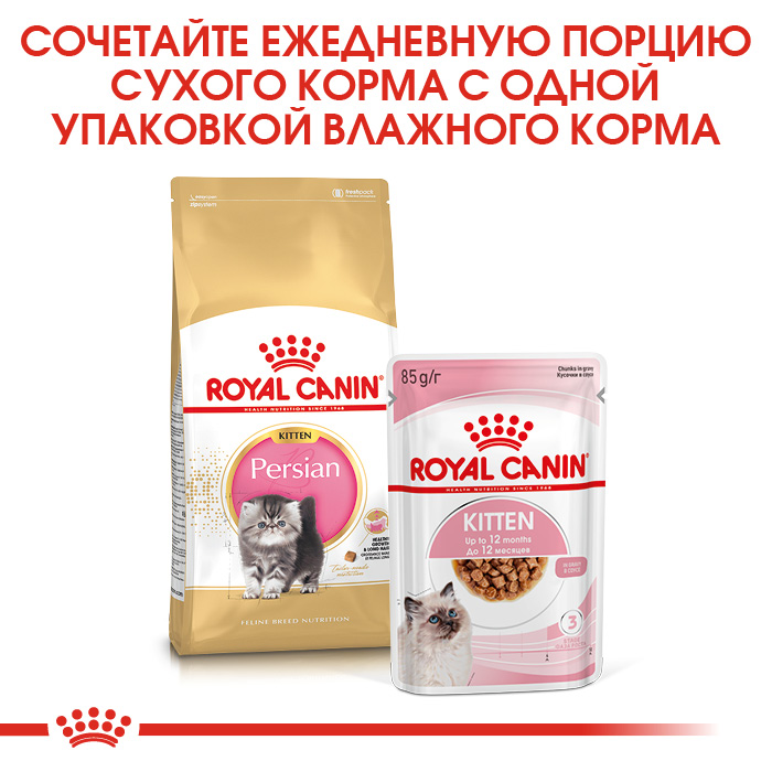 Royal Canin Kitten Persian сухой корм для персидских котят