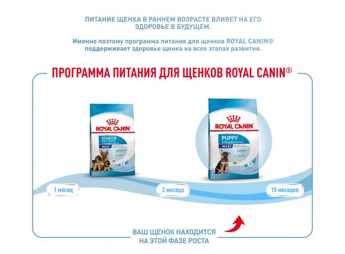Royal Canin Maxi Puppy сухой корм для щенков крупных пород