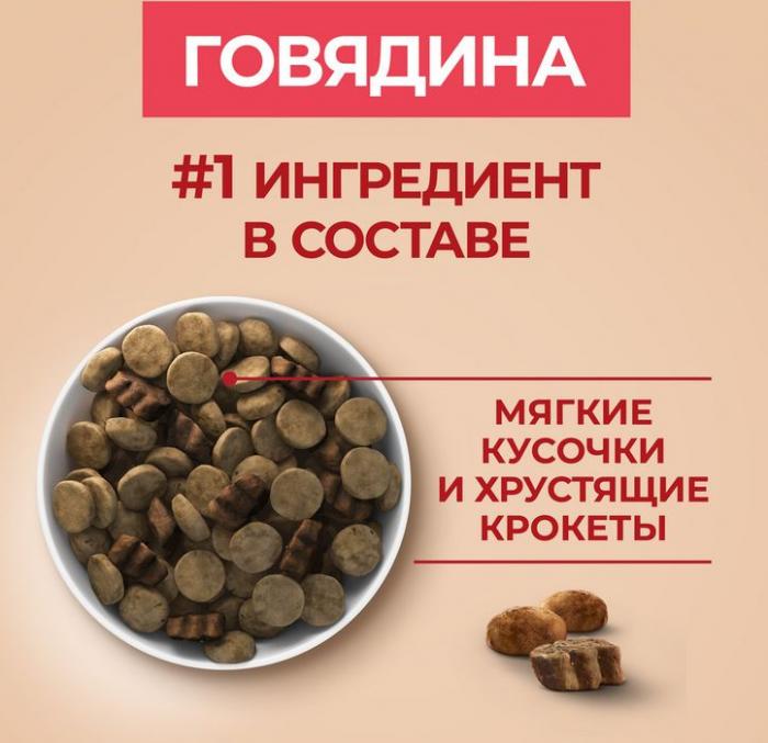 Сухой корм Purina ONE® для взрослых собак средних и крупных пород, с высоким содержанием говядины и с рисом