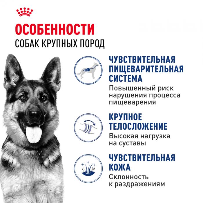 Royal Canin Maxi Adult сухой корм для собак крупных пород с 15 месяцев до 5 лет