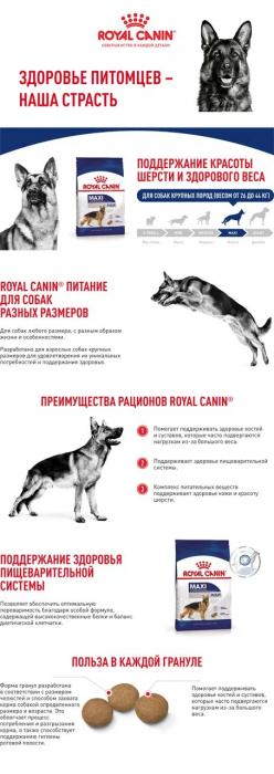 Royal Canin Maxi Adult сухой корм для собак крупных пород с 15 месяцев до 5 лет