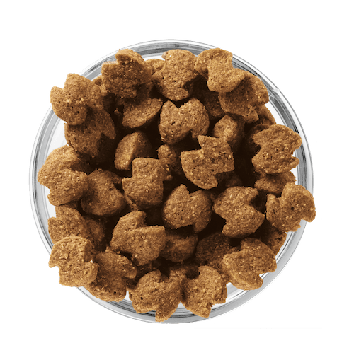Eukanuba Adult Medium Breed сухой корм для собак средних пород с курицей