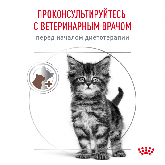Сухой корм Royal Canin GASTROINTESTINAL KITTEN для котят от 2 до 10 месяяцев