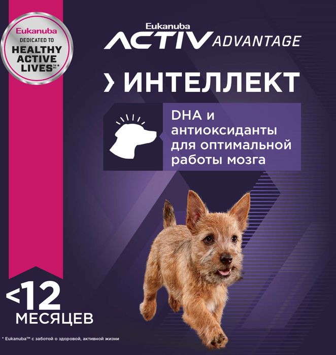 Eukanuba Puppy Small Breed сухой корм для щенков мелких пород с курицей