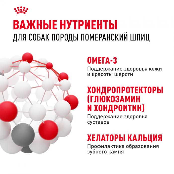 Royal Canin корм для взрослых собак породы Померанский Шпиц