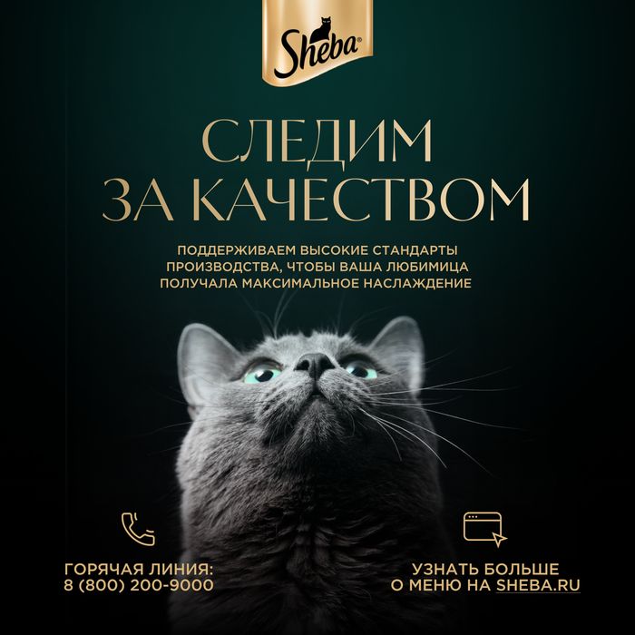 Sheba влажный корм для кошек, ломтики в желе с форелью