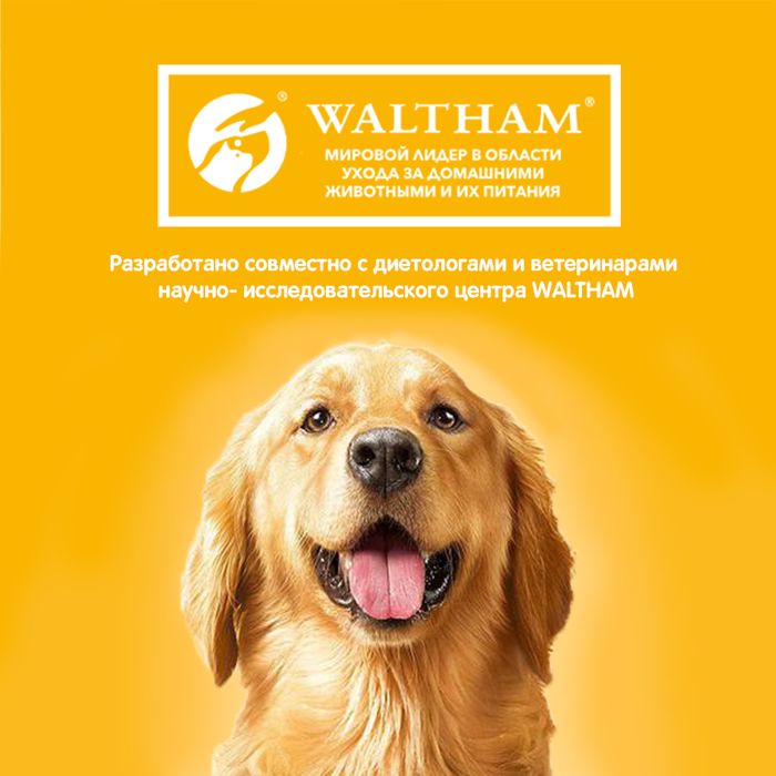 Pedigree влажный корм для щенков с ягненком