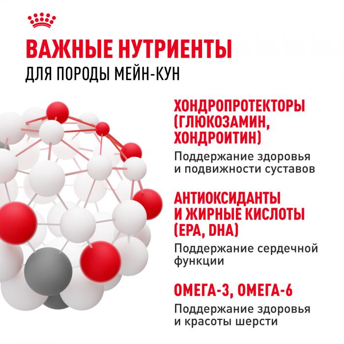 Royal Canin Maine Coon Adult сухой корм для крупных кошек породы мейн-кун