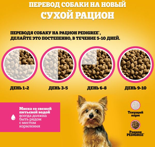 Pedigree корм для взрослых собак миниатюрных пород, говядина