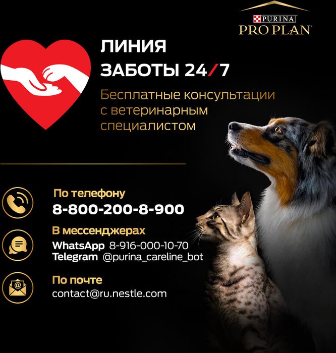 Сухой корм Pro Plan® Sterilised Renal Plus для взрослых стерилизованных кошек для поддержания здоровья почек, с высоким содержанием индейки