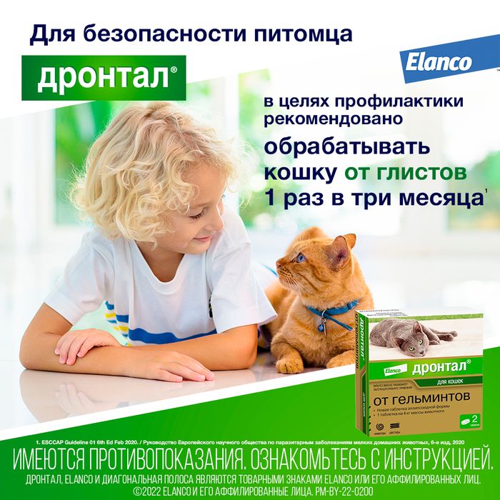 Elanco Дронтал таблетки для кошек и котят, антигельминтик