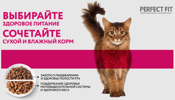 Perfect Fit влажный корм для стерилизованных кошек, с курицей в соусе