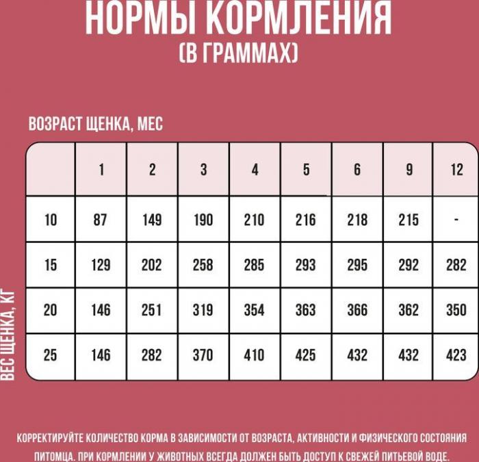 Bowl Wow корм для щенков средних пород, с индейкой, рисом и добавлением клюквы
