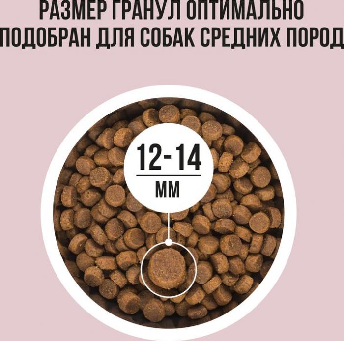 Bowl Wow корм для собак средних пород, с индейкой, рисом и добавлением яблока