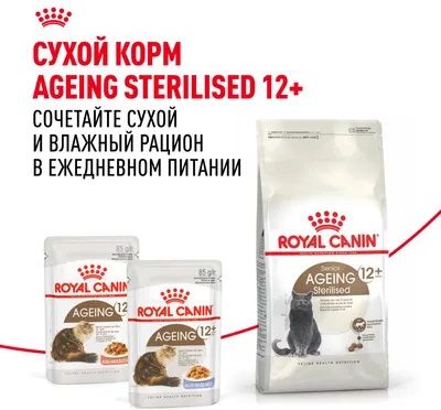 Royal Canin Ageing 12+ влажный корм для пожилых кошек всех пород, мелкие кусочки в соусе