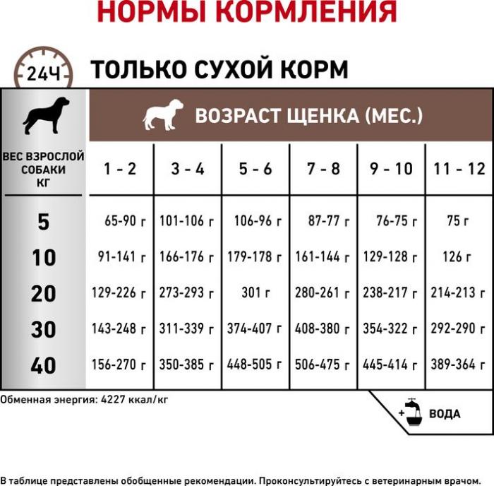 Royal Canin Gastro Intestinal Junior лечебный корм для щенков при нарушениях пищеварения