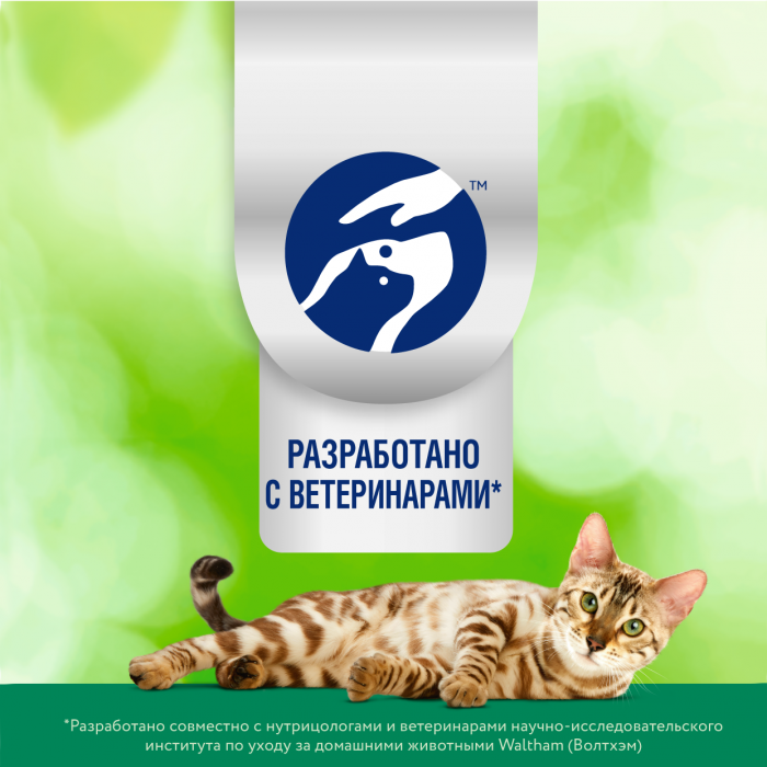 Perfect Fit Immunity влажный корм для кошек, для поддержания иммунитета, с говядиной в желе, с добавлением семян льна