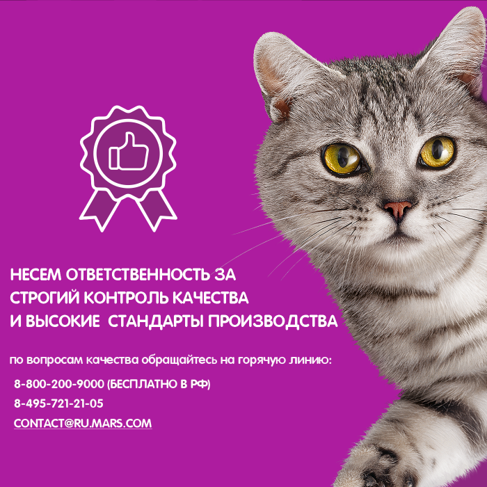 Whiskas влажный корм для кошек, паштет с говядиной и печенью