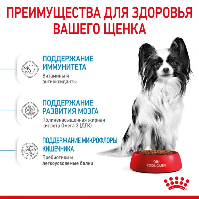 Royal Canin X-Small Puppy сухой корм для щенков миниатюрных пород