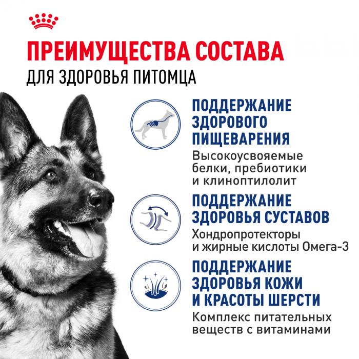 Royal Canin Maxi Adult сухой корм для собак крупных пород с 15 месяцев до 5 лет