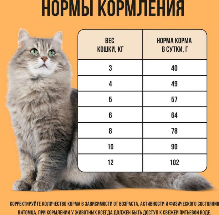 Bowl Wow корм для кошек, с чувствительным пищеварением, с индейкой, курицей и добавлением тыквы