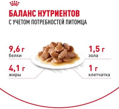 Royal Canin Ageing 12+ влажный корм для пожилых кошек всех пород, мелкие кусочки в соусе