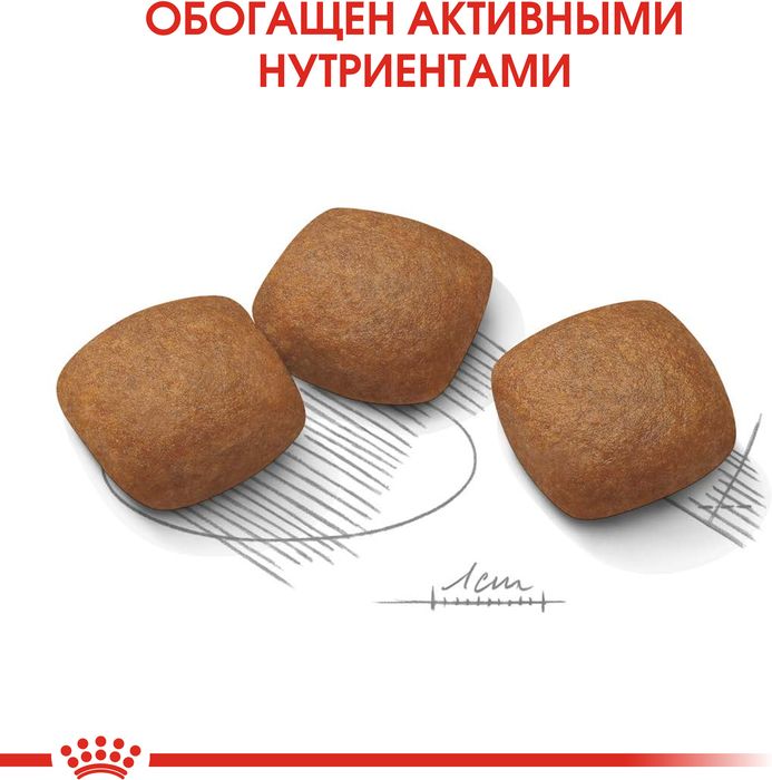 Royal Canin корм для взрослых собак крупных пород, поддержка суставов