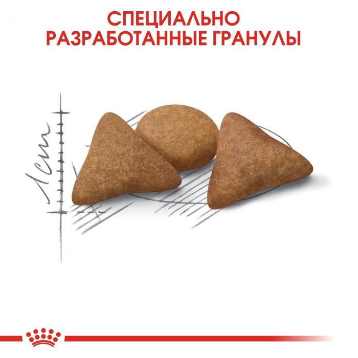 Royal Canin Indoor Appetite Control сухой корм для кошек склонных к перееданию