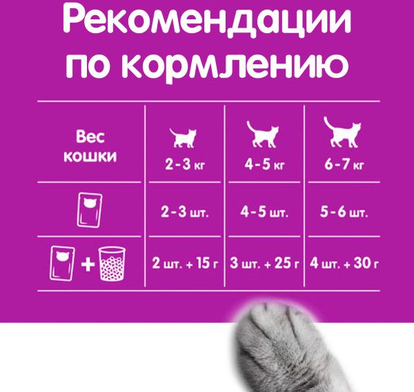 Whiskas влажный корм для кошек, рагу с говядиной и ягненком