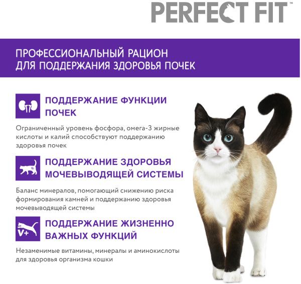 Perfect Fit Здоровье почек корм для взрослых кошек, с лососем