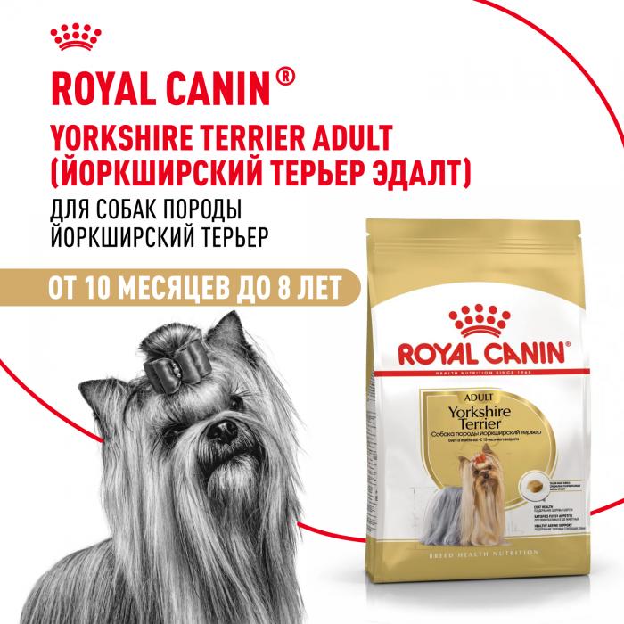 Royal Canin Yorkshire Terrier сухой корм для собак породы йоркширский терьер старше 10 месяцев