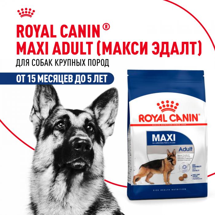 Royal Canin Maxi Adult сухой корм для собак крупных пород с 15 месяцев до 5 лет