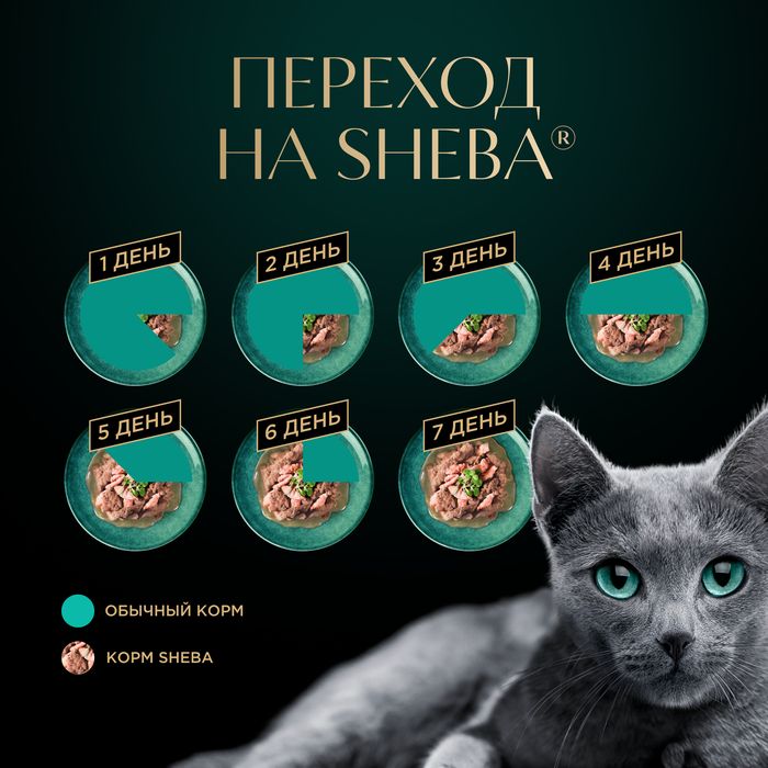 Sheba влажный корм для кошек, нежный паштет в желе, с лососем
