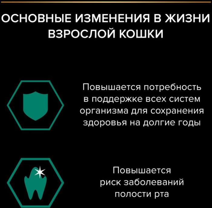 Влажный корм Pro Plan® Maintenance для взрослых кошек, с индейкой в желе