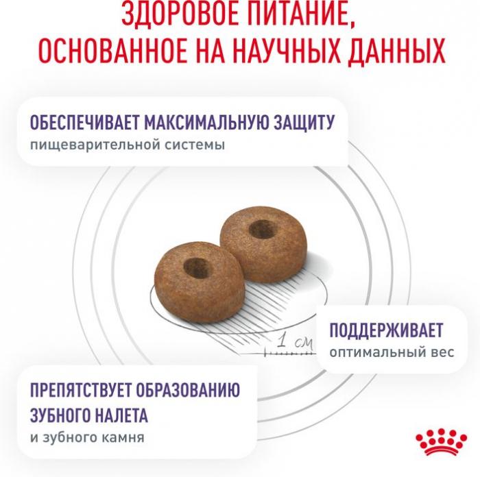 Royal Canin Neutered S корм для взрослых стерилизованных собак малых пород
